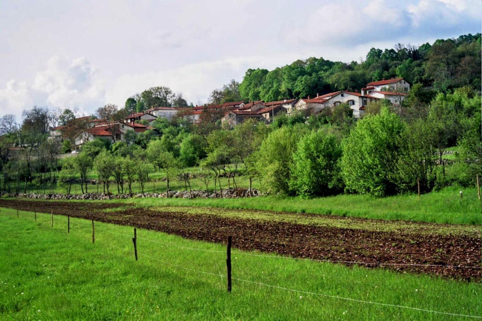 Apartma Jezevi Sezana Luaran gambar