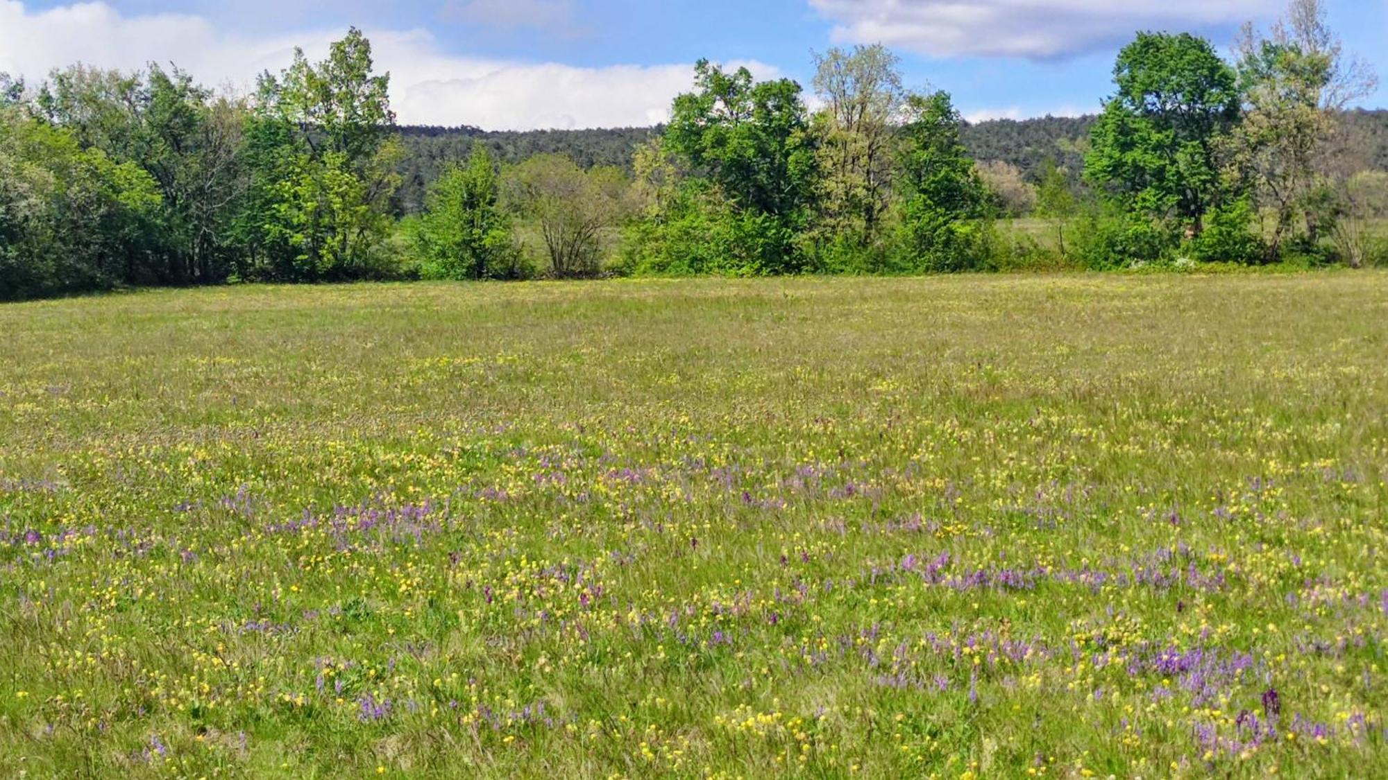 Apartma Jezevi Sezana Luaran gambar