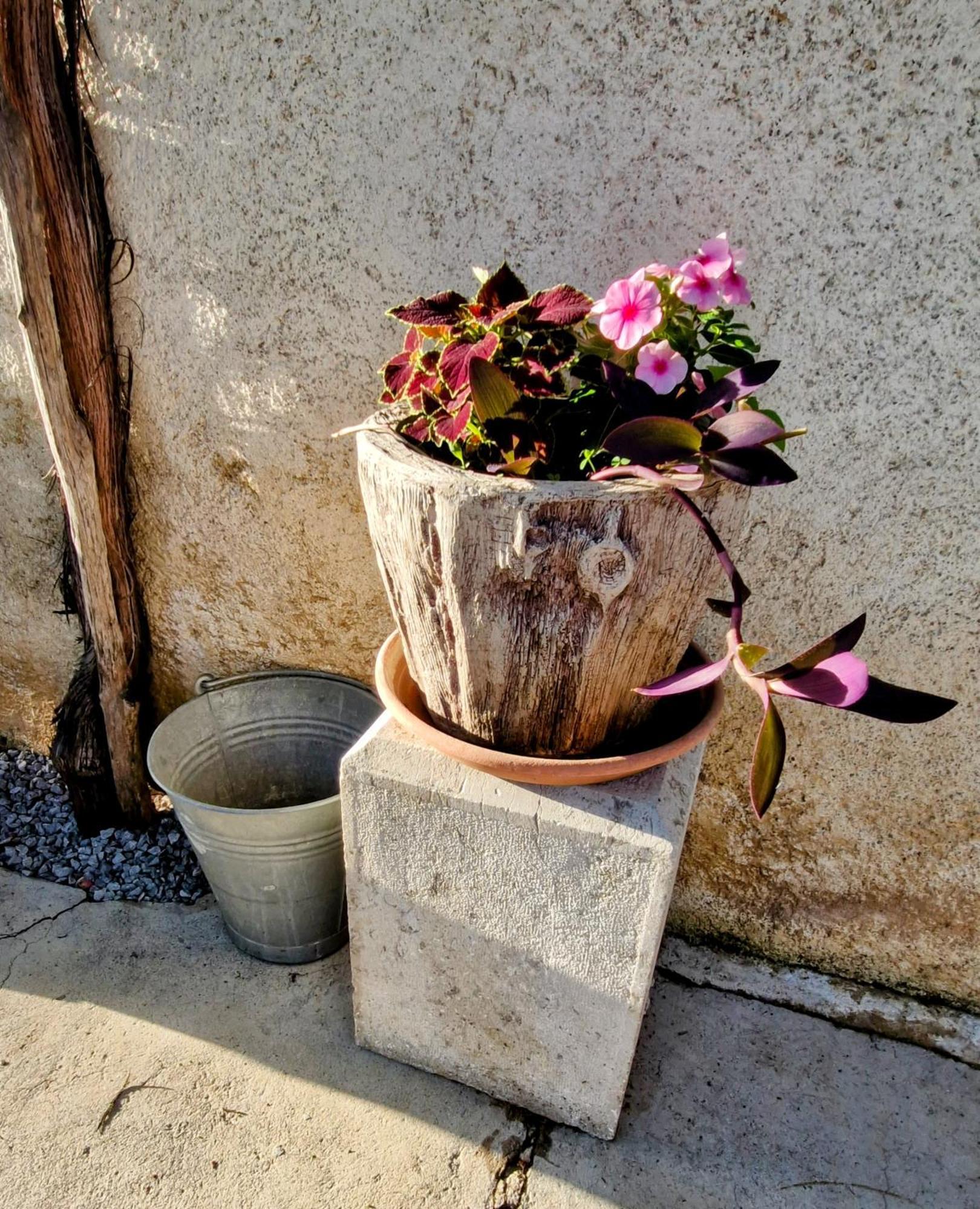 Apartma Jezevi Sezana Luaran gambar